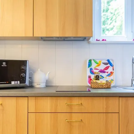 Daire C W/balcony Krakow